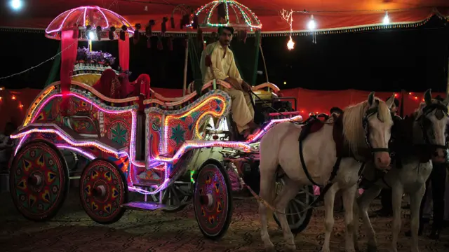 شادی کے بندھن میں بندھنے والے جوڑوں کے لیے بگھی کا انتظام کیا گیا تھا۔