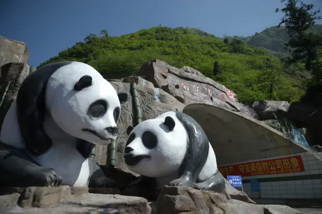 由香港援建的四川省道303线映秀至卧龙段全线贯通。照片拍摄于四川省道303线映秀至卧龙段的南华隧道口。