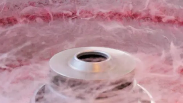棉花糖機能幫助科學家製造人造組織？（圖片來源：Getty Images）