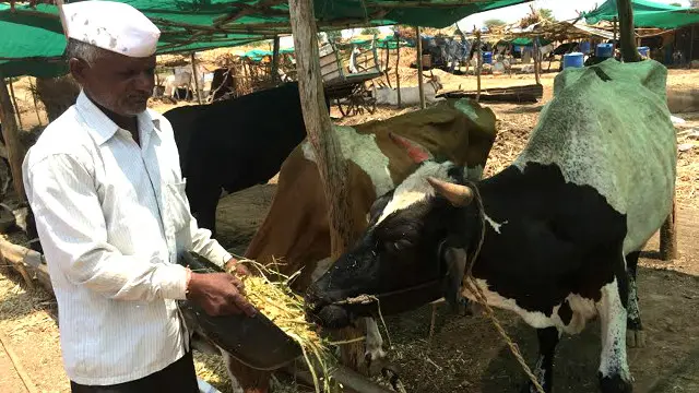 बाबा साहेब पांडुरन्ग