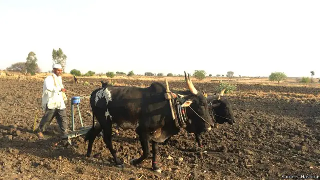 भारतीय किसान.