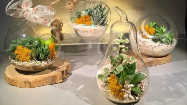 Dih Sing Mahadi, pemilik Grow Little Garden, mengatakan dari awalnya hanya menerima satu pesanan per bulan, kini dia bisa menerima 20-30 pesanan terarium per bulan.