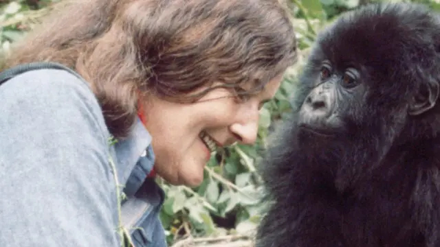 Dian Fossey