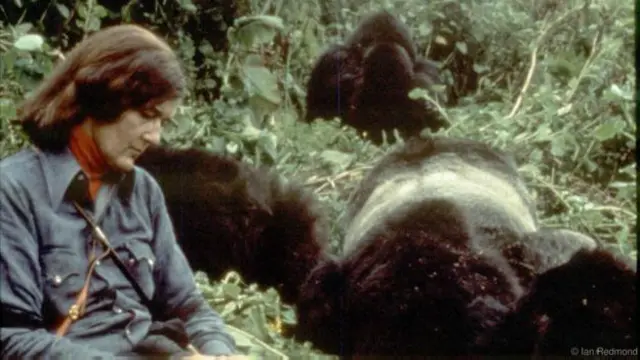 Dian Fossey