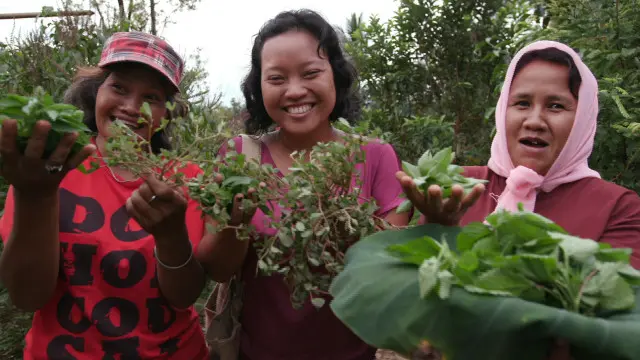 Saini, Hayu Dyah, dan Tri memperlihatkan tanaman liar yang akan diolah menjadi sayur.