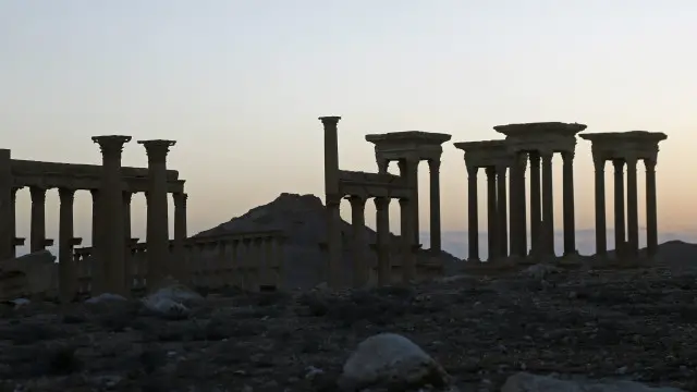 Palmyra