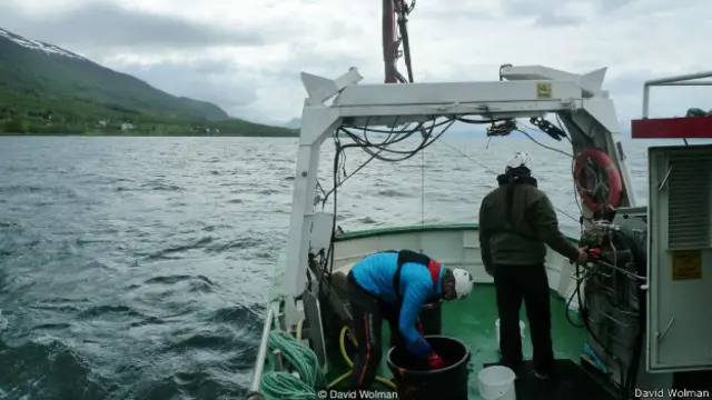 आर्कटिक समुद्र तल