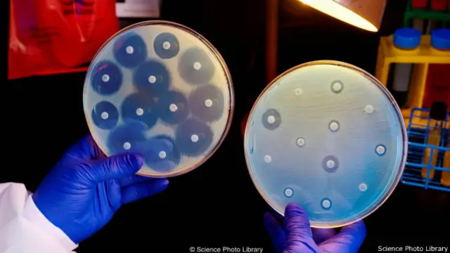 आर्कटिक समुद्र तल