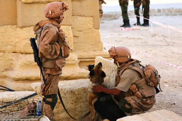 Российские саперы в Пальмире (6 мая 2016 года)