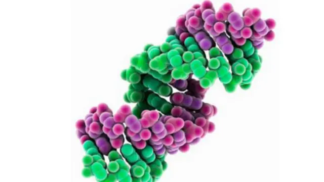 核糖核酸是生命的基础构件。