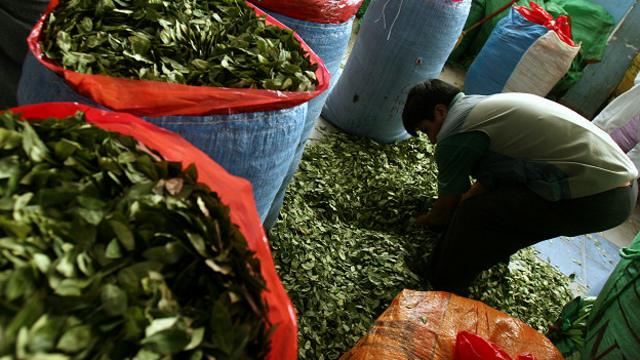 La polémica ley "transnacional" antidrogas de Estados Unidos que preocupa a productores de coca de Bolivia, Colombia y Perú - BBC News Mundo