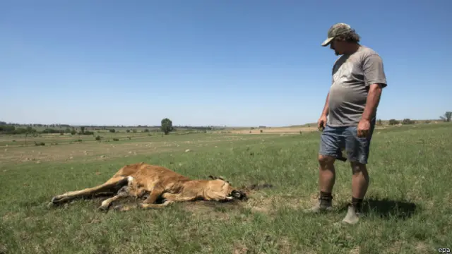 दक्षिण अफ्रीका सूखा