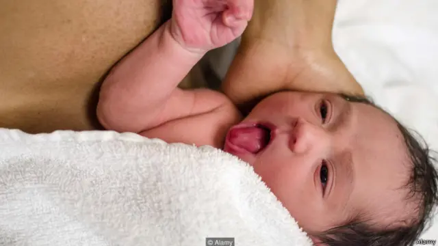 सेक्स फेरोमॉन