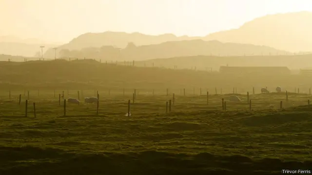 Kabut pagi di Wild Atlantic Way, Irlandia.