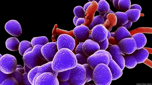 اگر باریکی سے دیکھیں تو پتہ چلے گا کہ جسم میں پائے جانے والے مختلف طرح کے جرثومے خوراک اور اپنی جگہ حاصل کرنے کے لیے ایک دوسرے سے بر سرپیکار رہتے ہیں