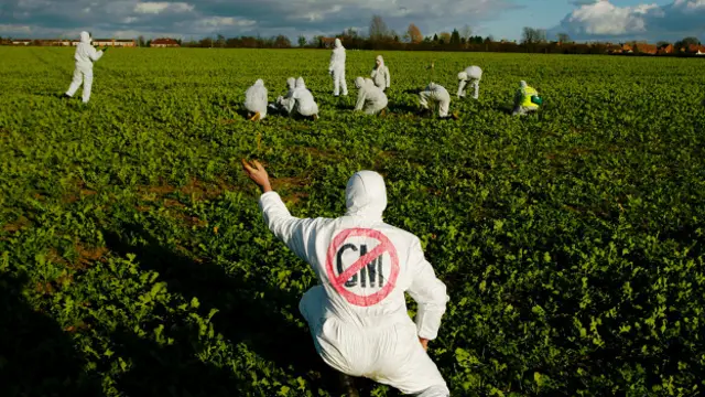 Activistas contra GM