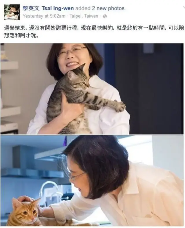 民进党主席蔡英文在脸书上说跟她的猫玩耍是她“最开心”的时刻