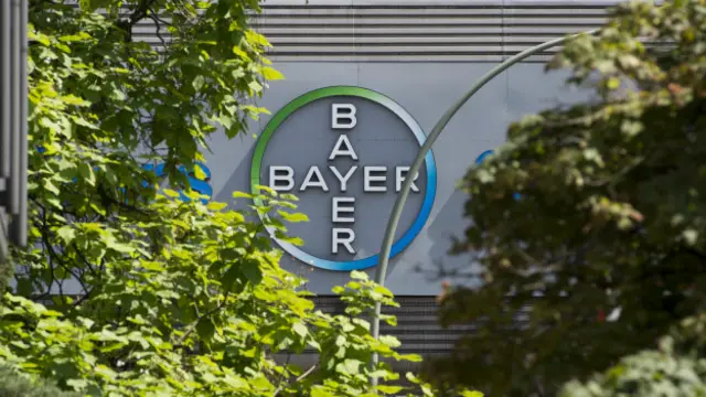 Логотип фирмы Bayer