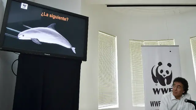 Omar Vidal, Director General del Fondo Mundial para la Naturaleza en México