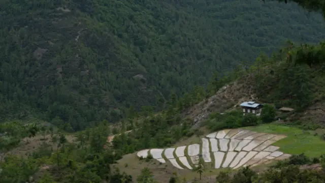 帕罗山谷（Paro Valley）