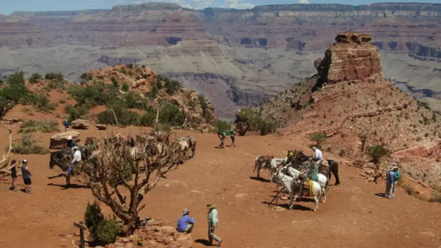 只有通过溪流泛舟或者骑驴才能到达的幻影牧场