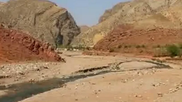 Injiq gozallik ustidan kuladi, soqov odam dahoning ustidan kuladi - mehkom.ru saytida