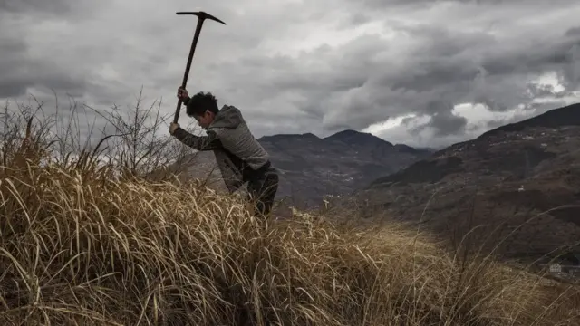 四川雅安漢源縣一名農民在山邊掘地種上果樹（26/3/2016）