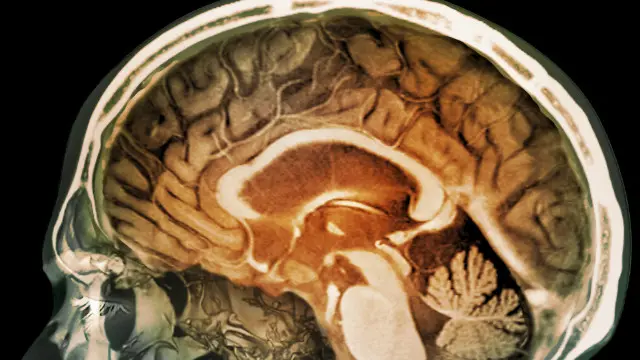 صرف برطانیہ میں ہی سالانہ 50000 لوگ آلودہ فضا سے جڑے مسائل کی وجہ سے ہلاک ہو جاتے ہیں