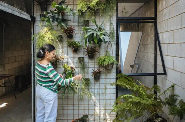 Doña Dalva y sus plantas