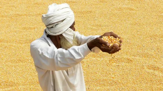 توقع ظاہر کی جارہی ہے کہ زراعت کے شعبے میں آنے والی تنزلی کو روکنے کے لیے چند خصوصی رعایات بھی تجویز کی جائیں گی