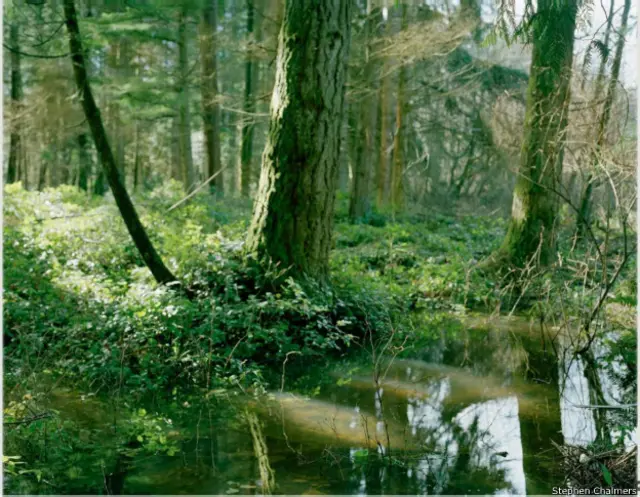 Ini lokasi di mana seorang korban pembunuhan bernama Martina Authorlee ditemukan.