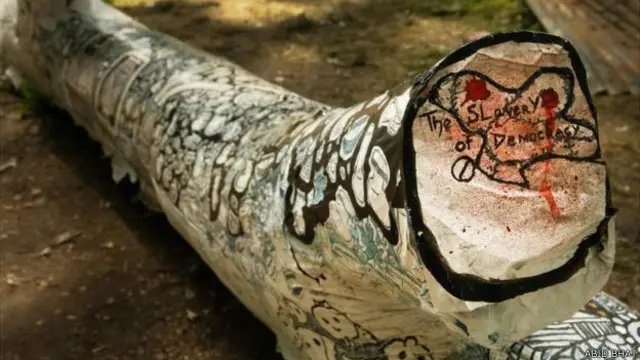 चिनार के दरख़्त