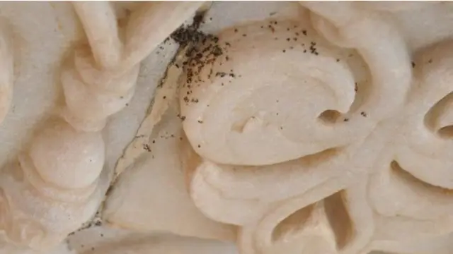 Зараркунандалар ҳаммаёқда ўз асоратларини қолдиришади.