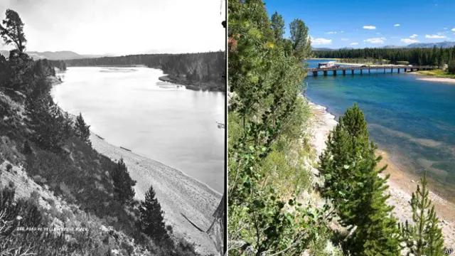 Puente de Pesca en Parque de Yellowstone