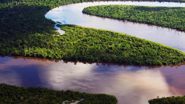 環保人士認為建議中的鐵路貫穿亞馬遜森林會造成極大的環境破壞