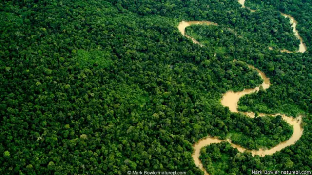 अमेज़न नदी