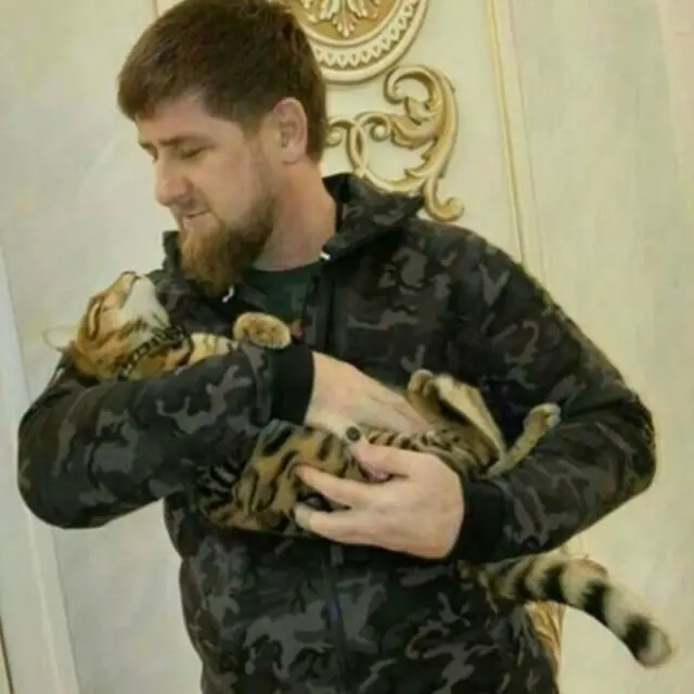 رمضان قادروف نے لکھا ’ہماری بلی غائب ہو گئی جس کا بچوں سےبہت لگاؤ تھا‘