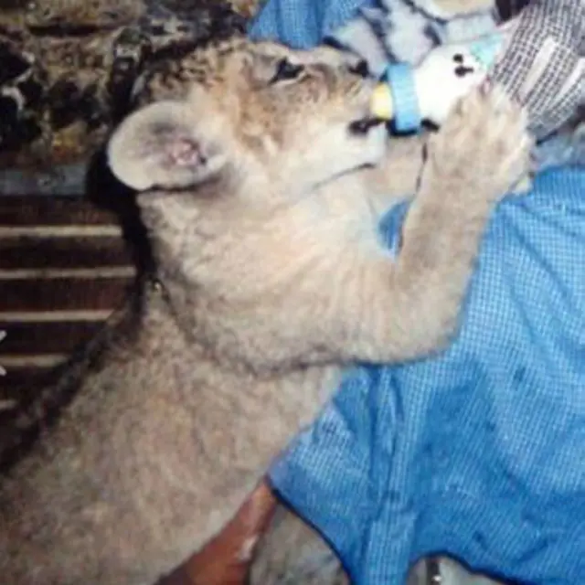 Foto: Parque Metropolitano de Santiago