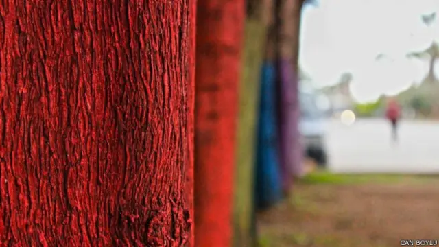 Can Boylu'nun objektifinden flu, arka planda kalan kırmızı ceketli kişi.