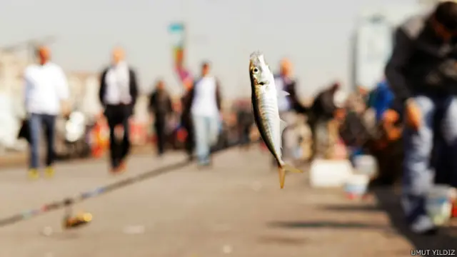 Umut Yıldız'ın fotoğrafındaki en canlı şeyin, belki de birkaç saat içinde tavayı boylayacak olan oltadaki balık olması ilginç bir tezat oluşturuyor.