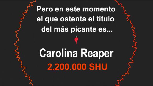 Cruzando el naga jolokia con el habanero rojo fue creado el Carolina Reaper, en la PuckerButt Pepper Company en Carolina del Sur, Estados Unidos.