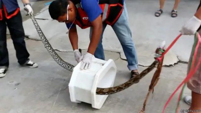 Người ta phải tháo cả bệ xí ra