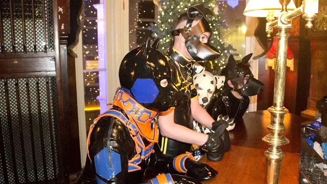 Evento de humanos perros en Inglaterra. 