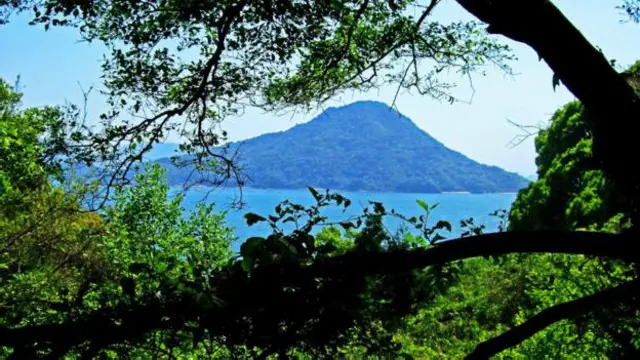 位于日本广岛湾的似岛