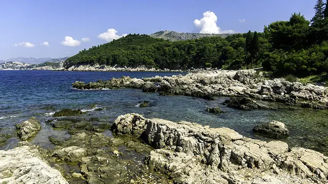 Флора Хорватії