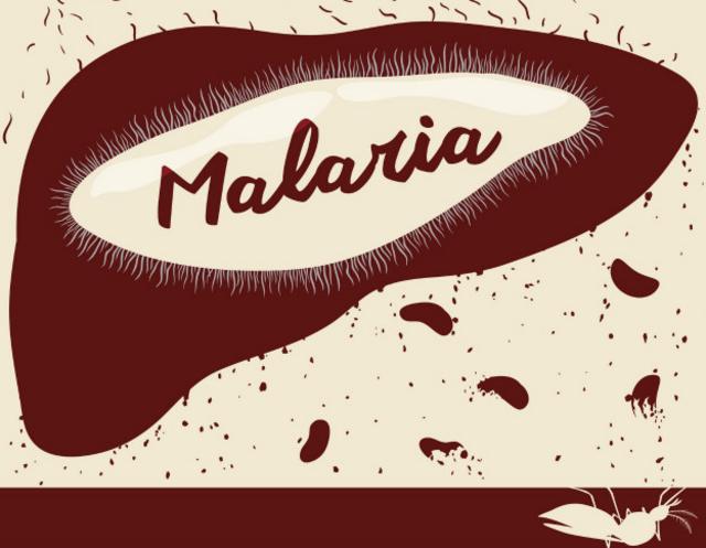 La malaria es una de las enfermedades que no requiere de grandes poblaciones para sobrevivir.