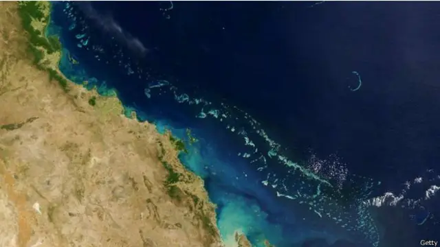 珊瑚白化與氣候改變有關。