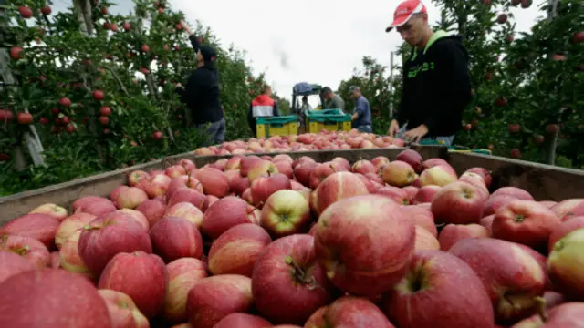 在美国，苹果的市场价值约40亿美元一年。(图片来源: Getty Images)
