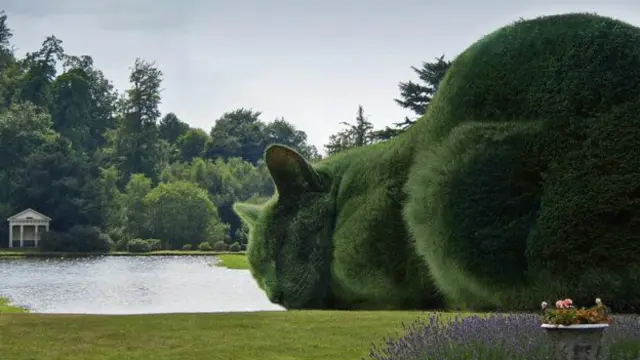 Коты-кусты Ричарда Сондерса