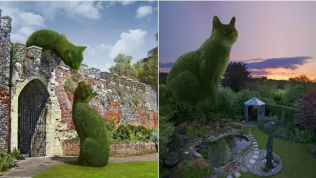 Коты-кусты Ричарда Сондерса